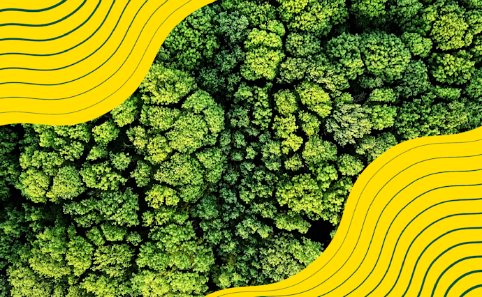 How A Multinational CPG Company Used Existing Data Systems To Support A Sustainable Future